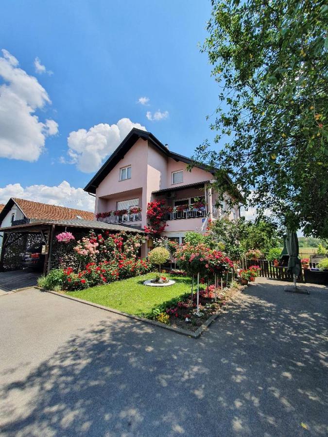 Apartman Vesna Bjelovar Exteriér fotografie